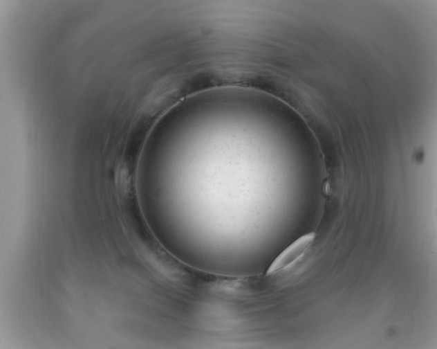 X0000092040086200709191109