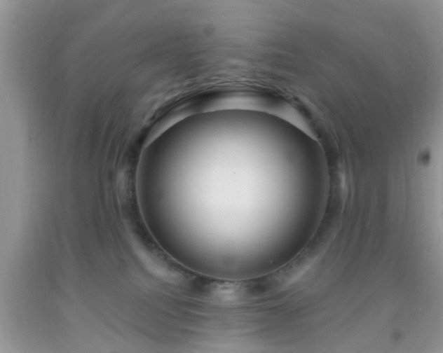 X0000092040088200709191109