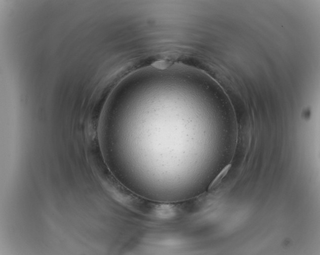 X0000092040091200709191109