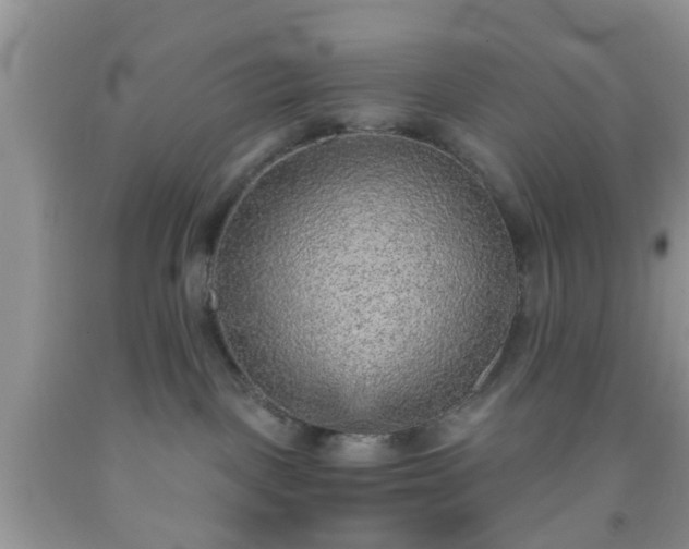 X0000092040093200709191109