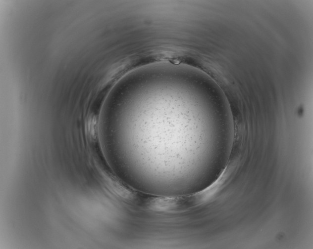 X0000092040094200709191109