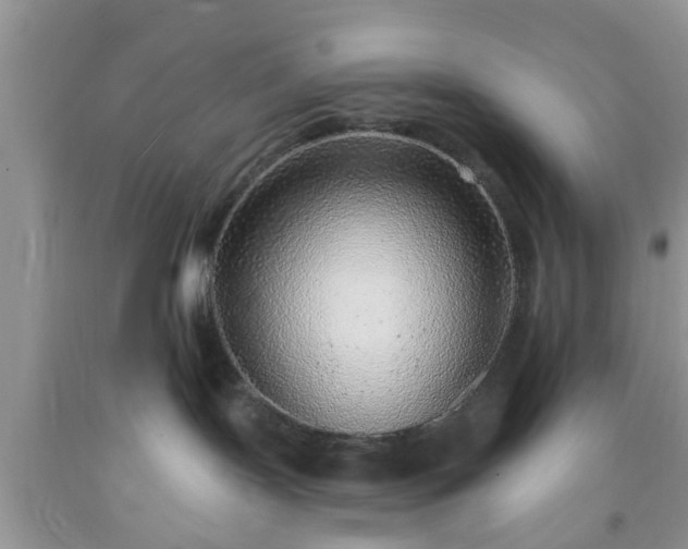 X0000092040095200709191109