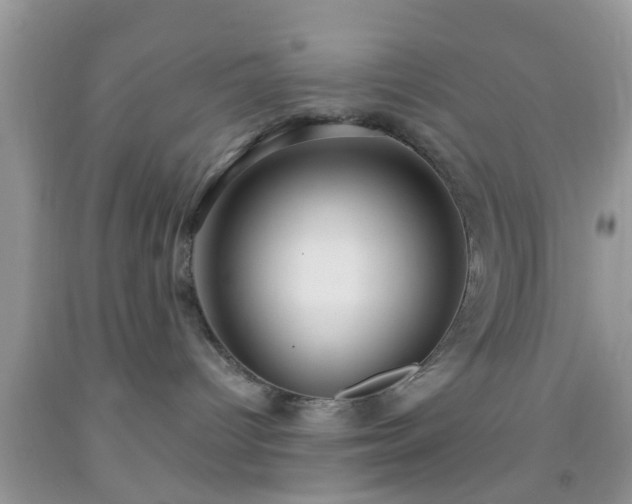 X0000092040096200709191109