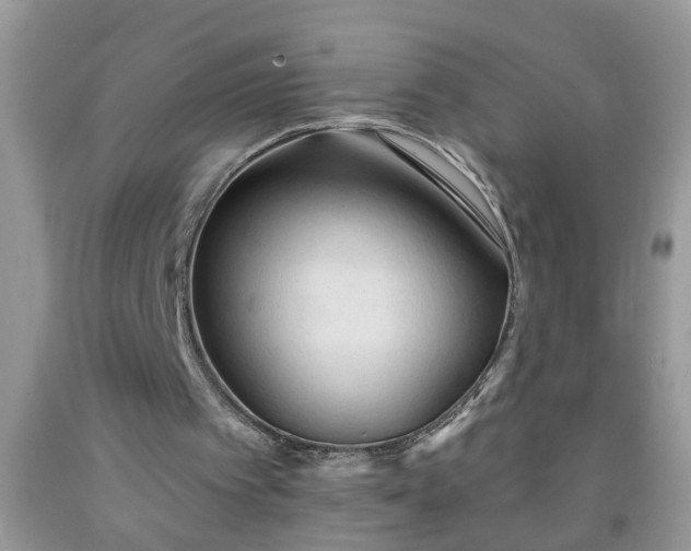 X0000092040097200709191108