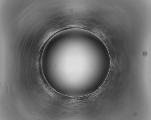 X0000092040098200709191108