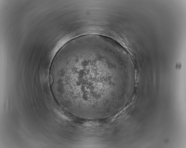 X0000092040099200709191108