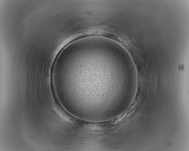 X0000092040100200709191108