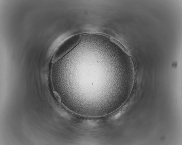 X0000092040103200709191108