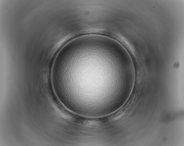 X0000092040107200709191108