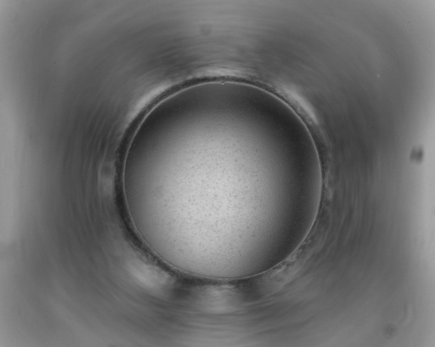 X0000092040108200709191108