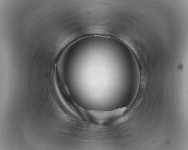 X0000092040109200709191108