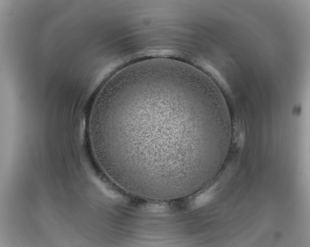 X0000092040110200709191108