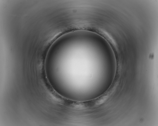 X0000092040113200709191108