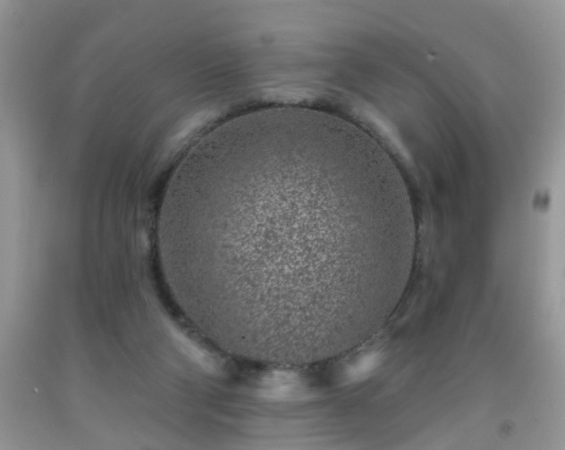 X0000092040114200709191108