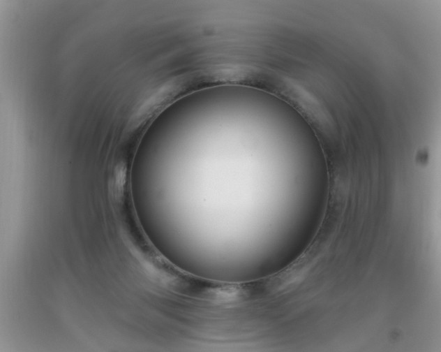 X0000092040118200709191108