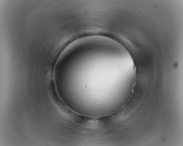 X0000092040119200709191108