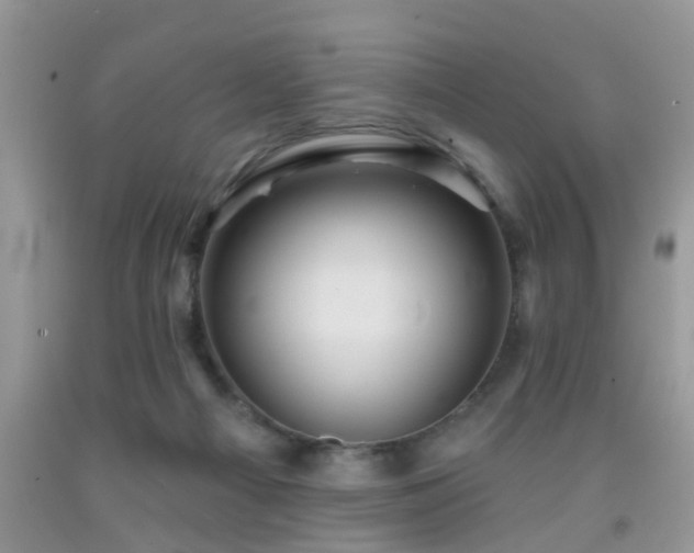 X0000092040121200709191108