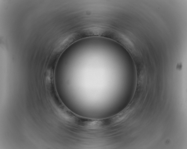 X0000092040122200709191108