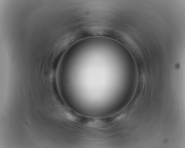 X0000092040125200709191108