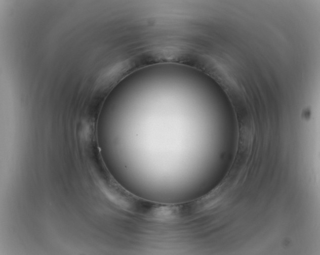 X0000092040126200709191108