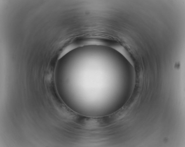 X0000092040129200709191108