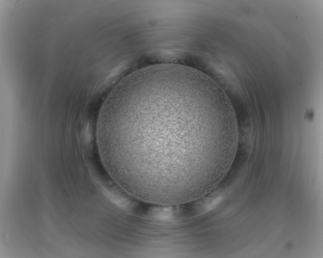 X0000092040131200709191108