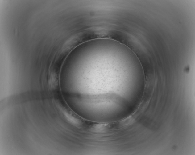 X0000092040136200709191108