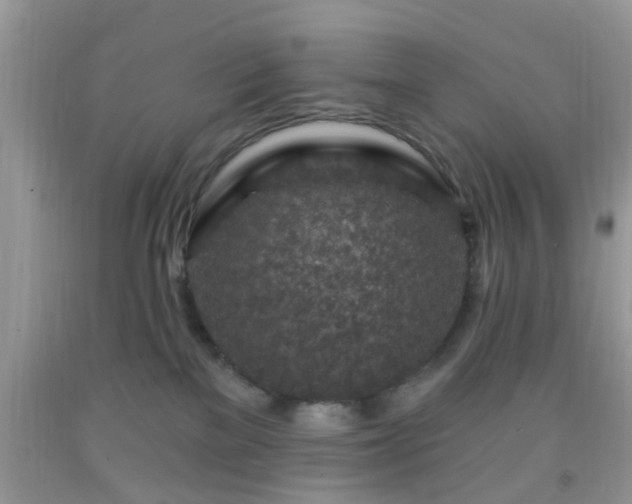 X0000092040137200709191108