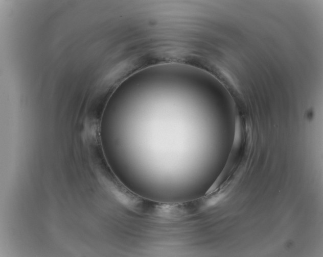 X0000092040141200709191108