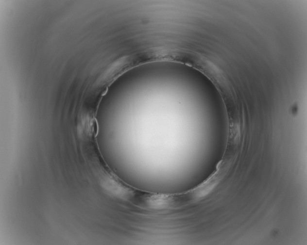 X0000092040142200709191108