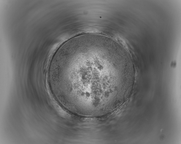 X0000092040145200709191107