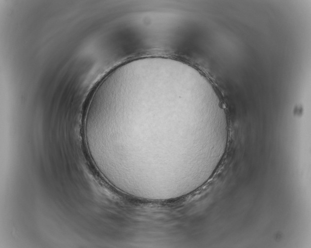 X0000092040146200709191107