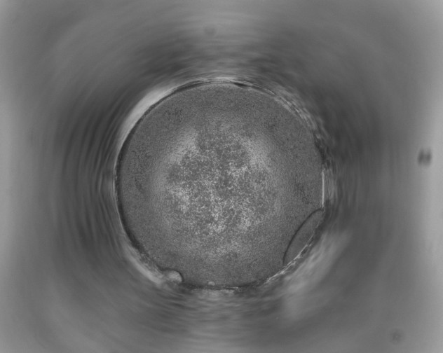 X0000092040147200709191107