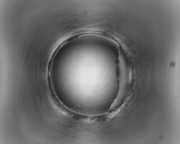 X0000092040148200709191107