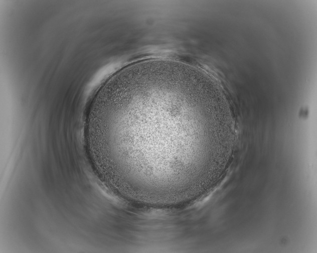 X0000092040149200709191107