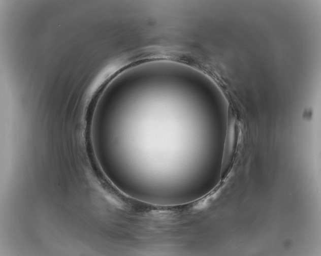 X0000092040150200709191107