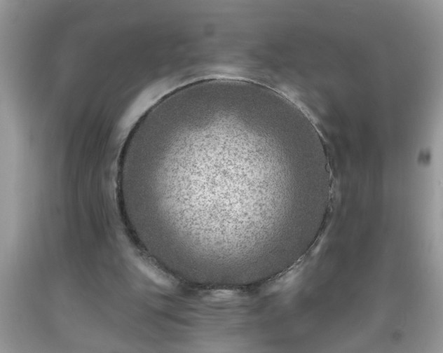 X0000092040151200709191107