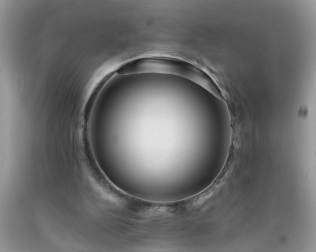 X0000092040152200709191107