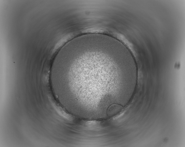 X0000092040153200709191107