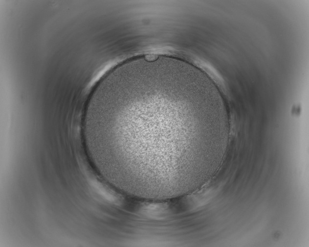 X0000092040155200709191107