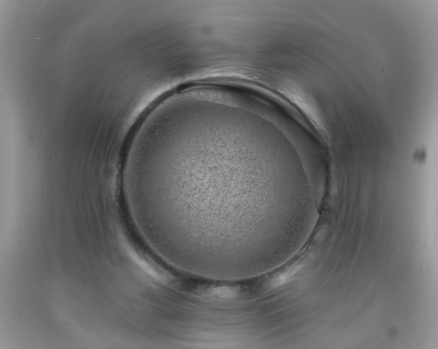 X0000092040156200709191107