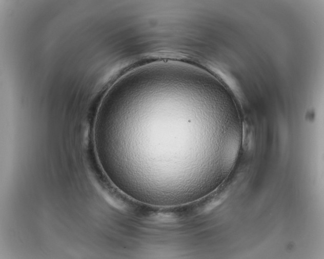 X0000092040157200709191107