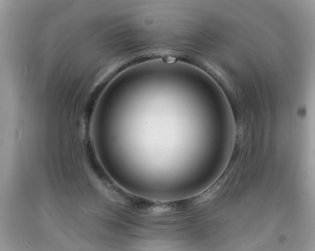 X0000092040158200709191107