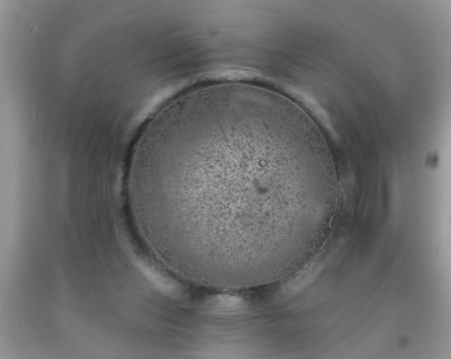 X0000092040159200709191107