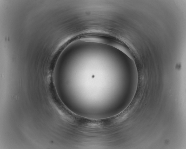 X0000092040160200709191107