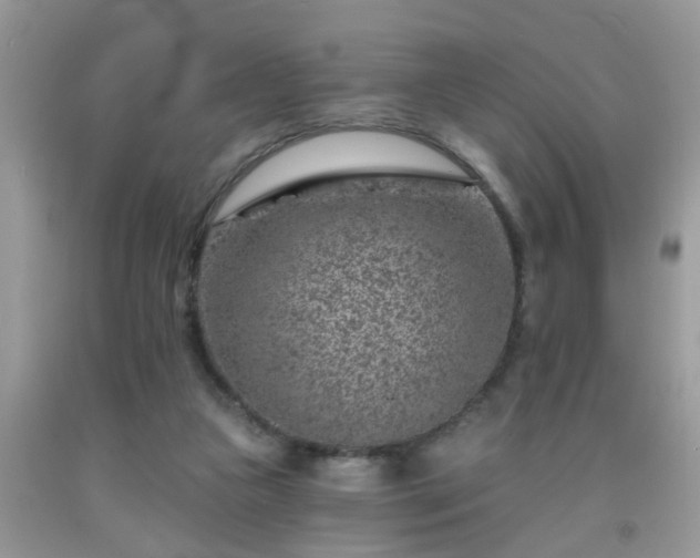 X0000092040161200709191107