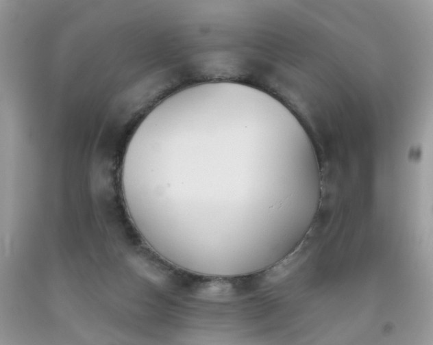 X0000092040162200709191107