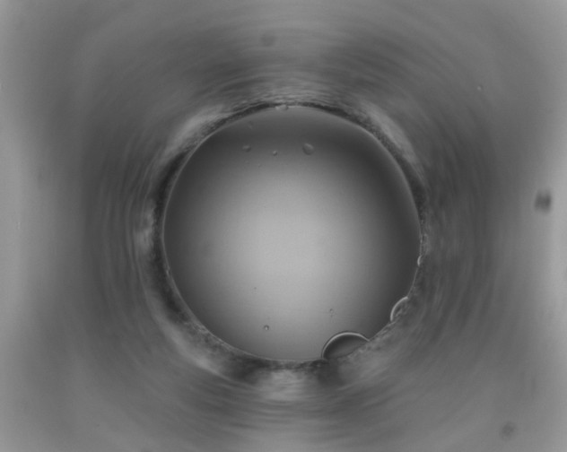 X0000092040163200709191107