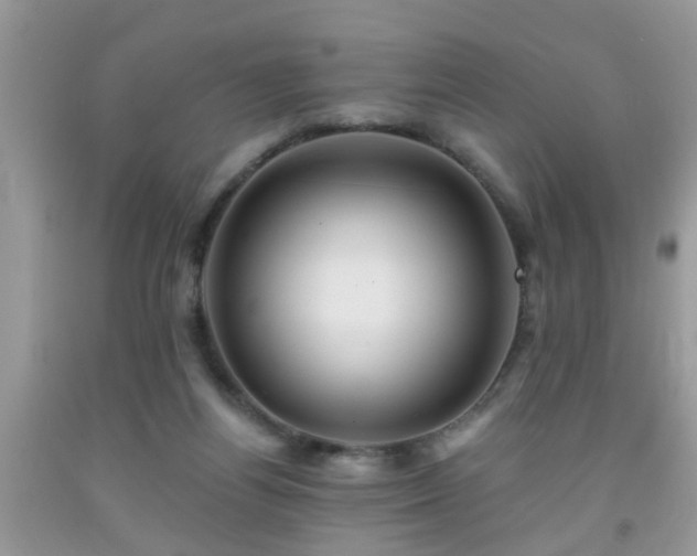 X0000092040164200709191107