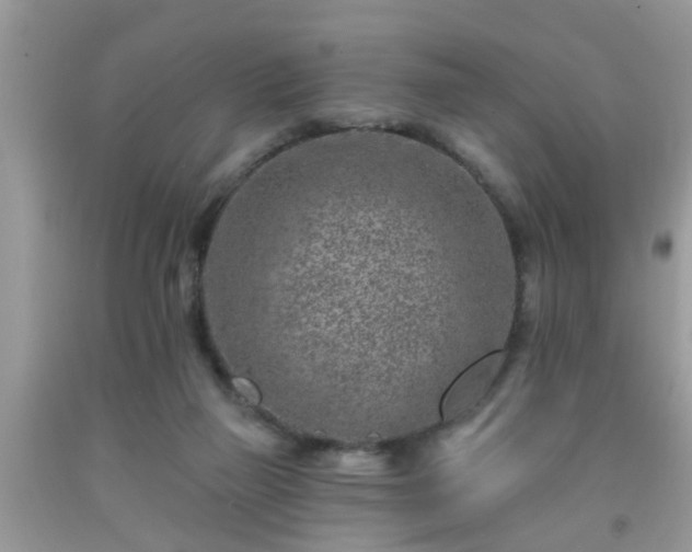 X0000092040165200709191107